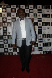 0029-African-Movie-Academy-Awards-2013-29.jpg