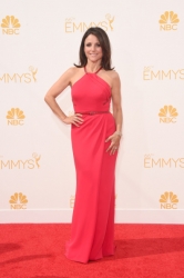 Julia-Louis-Dreyfus-in-Carolina-Herrera.jpg