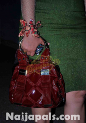 Lilian Bach With Designer Hand bag