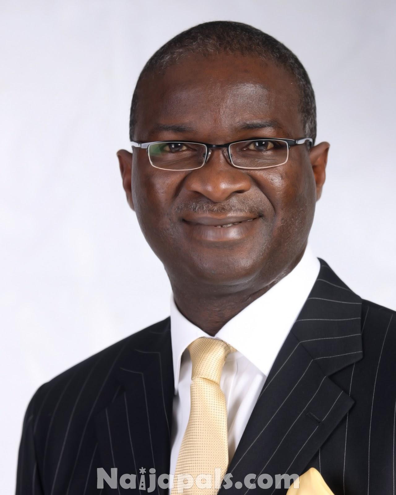 Lagos Governor, Babatunde Raji Fashola (SAN)