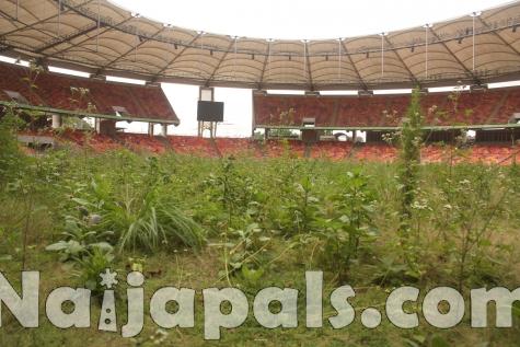 The Stadium main- bowl at presentjpg (2)