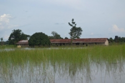 The Great Floods Of Nigeria Moves To Edo State 14.jpg