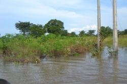 The Great Floods Of Nigeria Moves To Edo State 15.jpg
