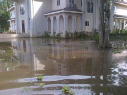 [Photos] Anambra State Devastated By Flooding 3.jpg