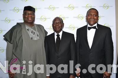 Olusegun Obasanjo Foundation London 17