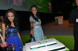Olusegun Obasanjo Foundation London 14.jpg