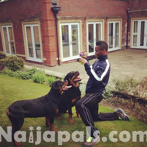 Mikel With Dogs