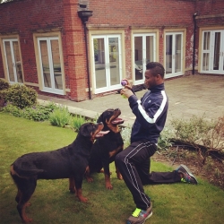 Mikel With Dogs.jpg