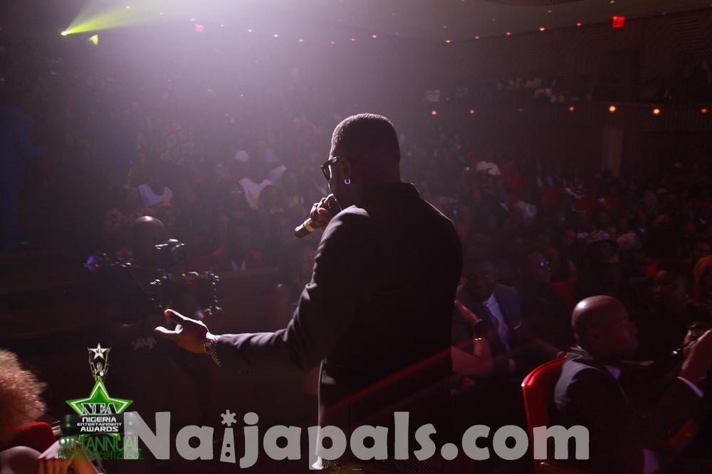 0032-Skales