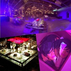 Rihanna's Extravagant Diamond Ball00004.jpg