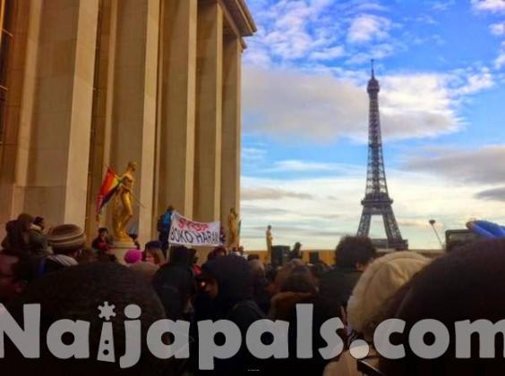 Hundreds Protest In Paris_Naijapals 13