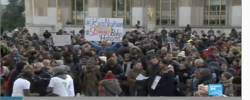 Hundreds Protest In Paris_Naijapals 16.png