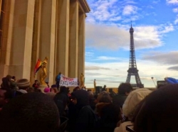 Hundreds Protest In Paris_Naijapals 13.jpg