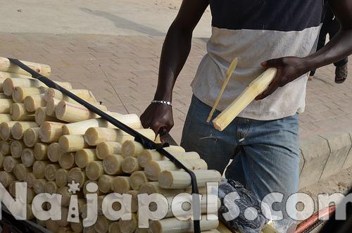 Sugar and Sugarcane Production, Nigeria