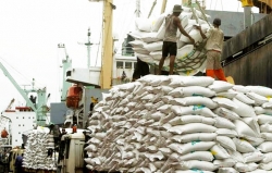 Rice Production, Nigeria