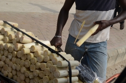Sugar and Sugarcane Production, Nigeria