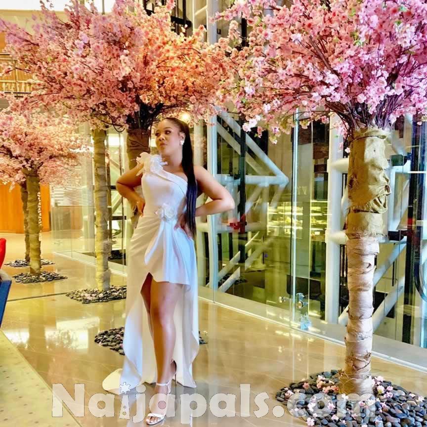 BamTeddy2019 13