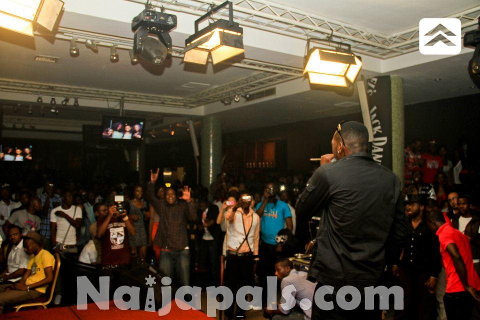 may d on show